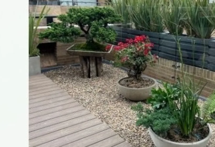 Espacio con plantas visualizado con IA