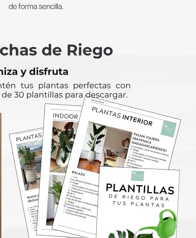 Fichas de identificación de plantas con foto real y datos de cuidado